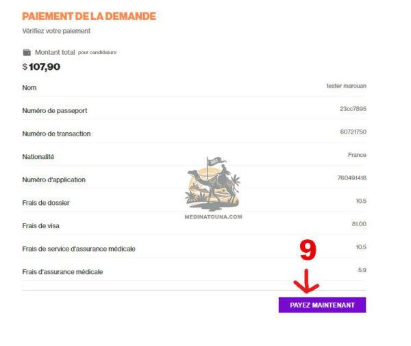 Comment Demander Un Visa Touristique En Ligne Pour Larabie Saoudite Via La Plateforme Ksa Visa 8863